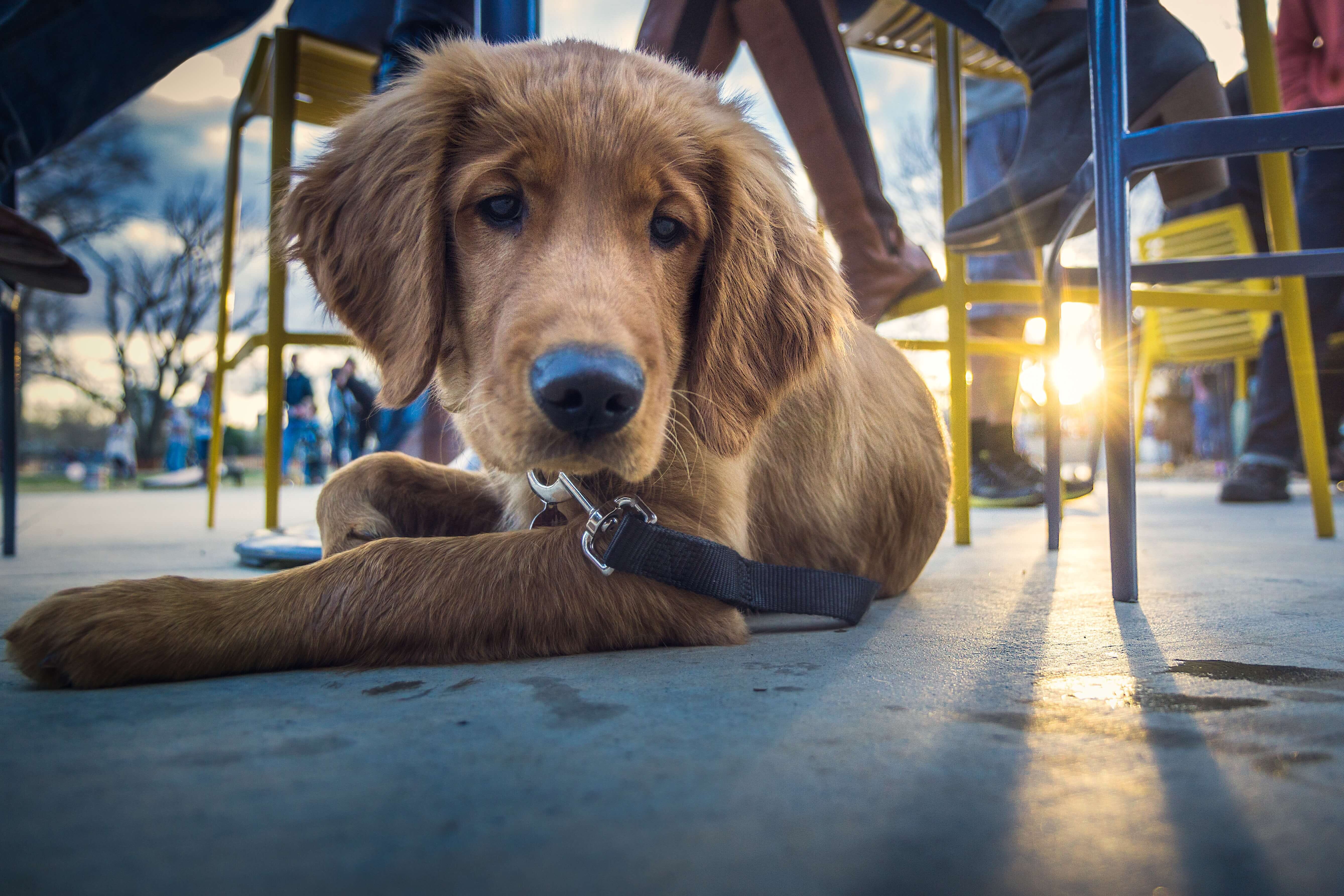 5 Experiences to Add to Your Restaurant and Shake Up Your Customer Traffic