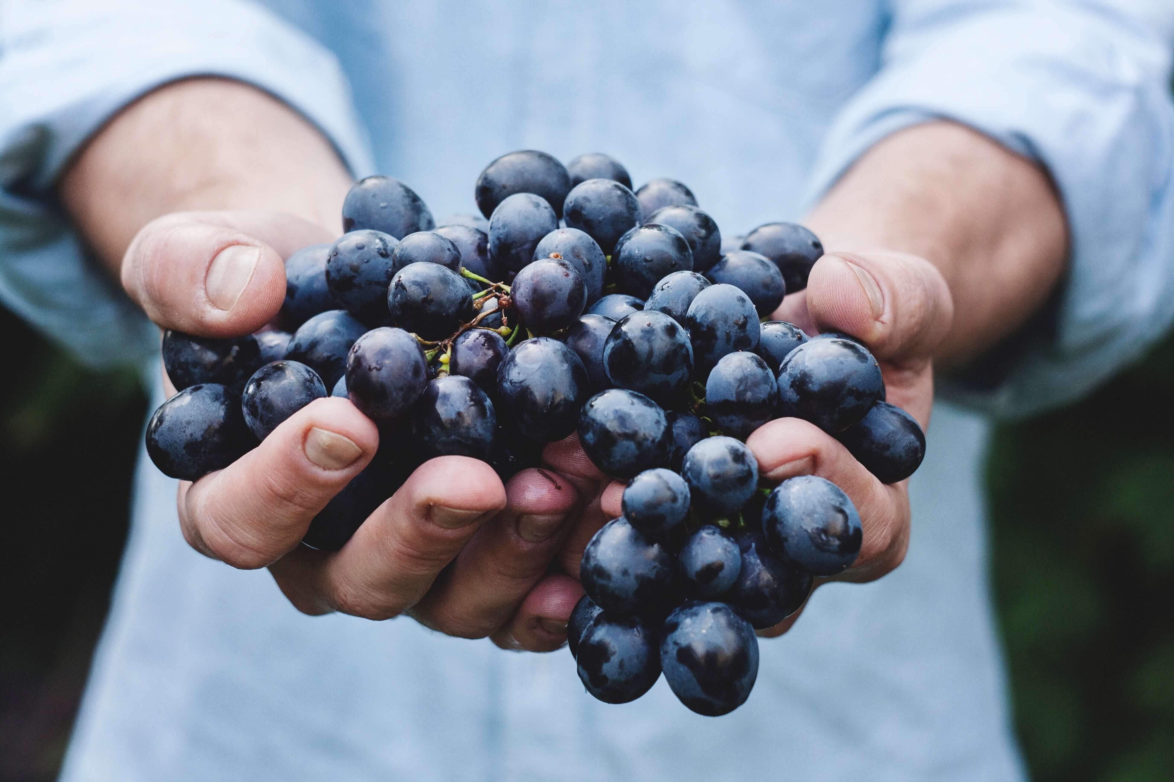 Sourcing Local Foods During the Winter for Your Restaurant